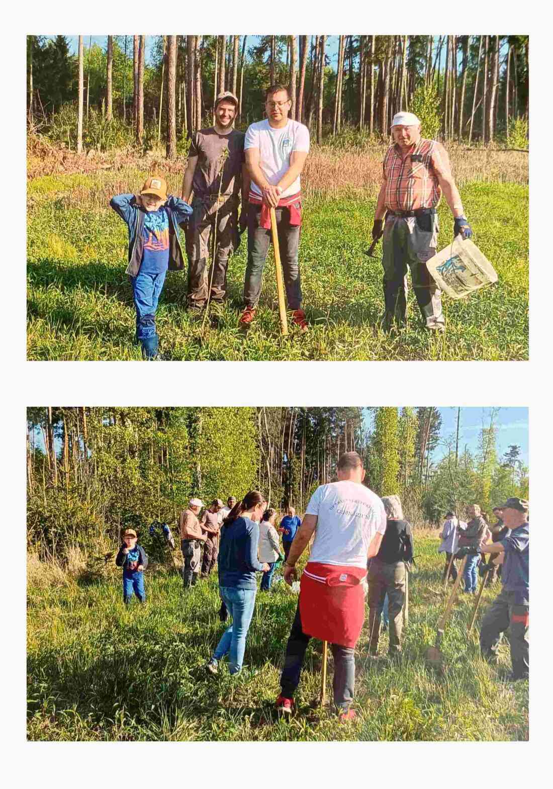 Reformierte Pfarrgemeinde: Kirchenwald - Bäume für die Zukunft gepflanzt - Oswald/Kadas/Gangoly