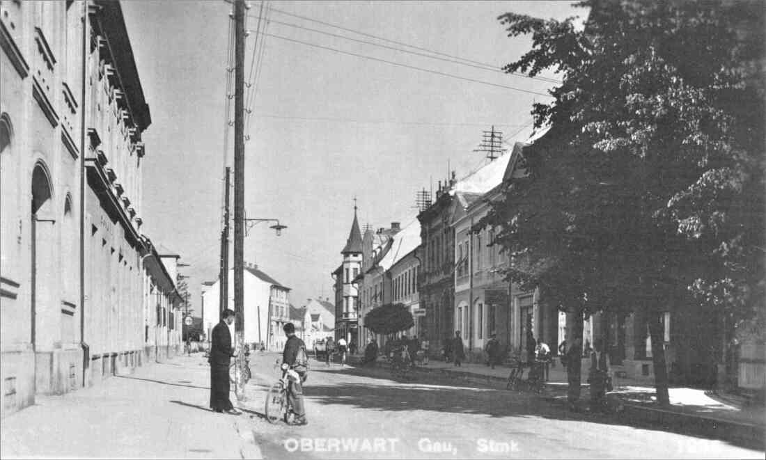 Ansichtskarte: Wienerstraße gegen NW