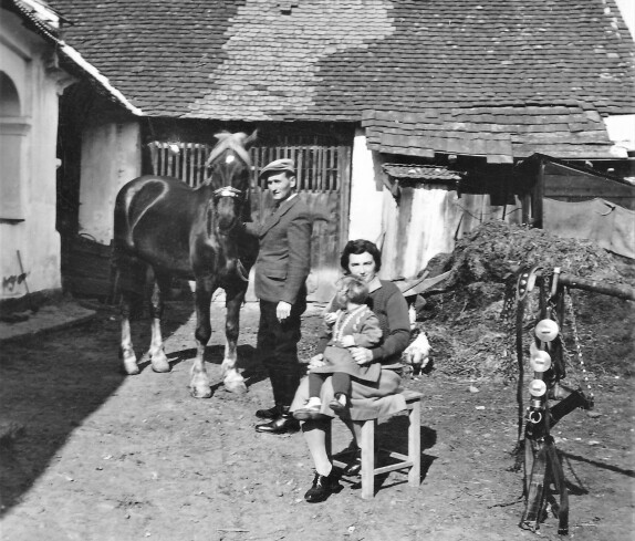 Ehepaar Johann und Julia Gangoly (Sterngasse 3)