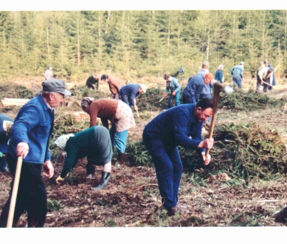 Reformierte Pfarrgemeinde: Aufforstungsarbeiten im Kirchenwald -Hegedüs/Baliko