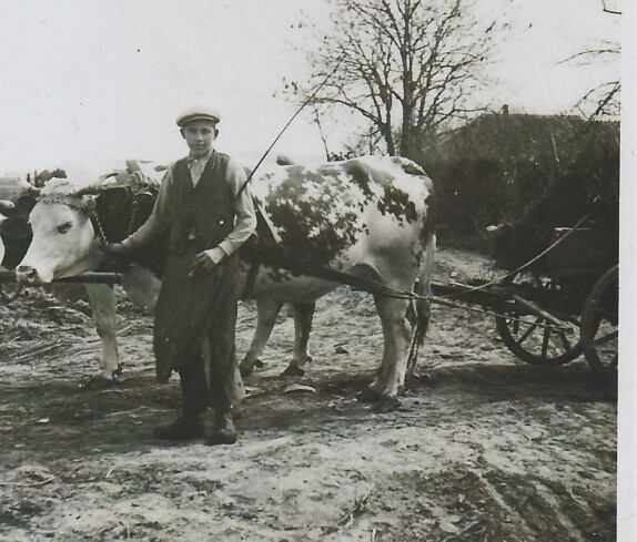 Emmerich Molnar bei der Arbeit