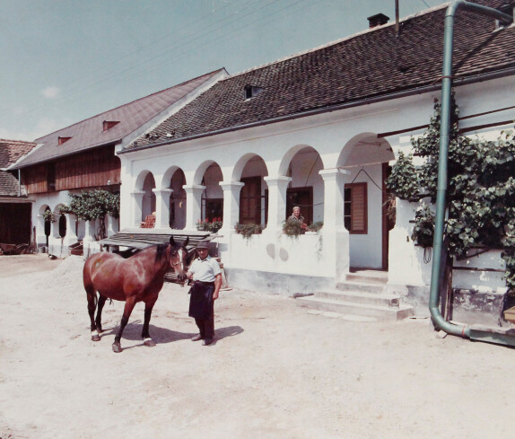 Ausgezeichnetes Arkadenhaus: Alexander Baliko (Johann Straußgasse 46)