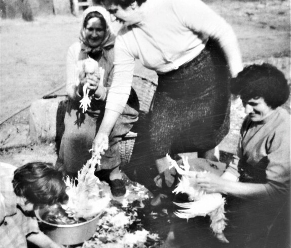 St. Martin "Hendl-Rupfen" (Körper/Garber/Simon)