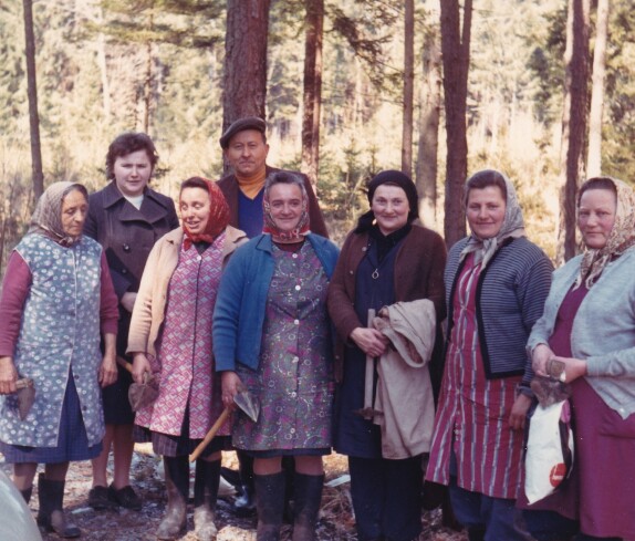 Reformierte Pfarrgemeinde: Aufforstarbeiten im Kirchenwald