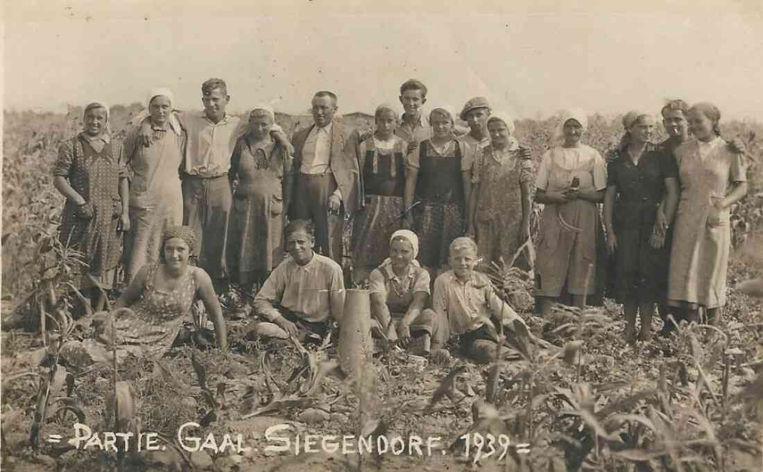 Pongracz Juliane, Imre Juliane und weitere Erntehelfer (unbekannt) der Partie Gaal 1939