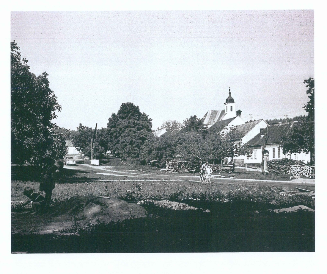 St. Martin: Blick aus SW über den Dorfanger mit dem Dorfbrunnen auf die röm. kath. Kirche