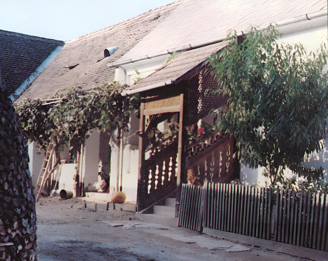 Arkadenhaus OW 285 / Wiesengasse 40 (heute Alexander Mohat))