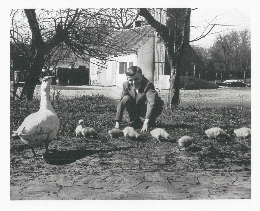 St. Martin: Franz Pittner freut sich an den Gänsen vom Dorfanger - im Hintergrund das Feuerwehrhaus mit Schlauchturm