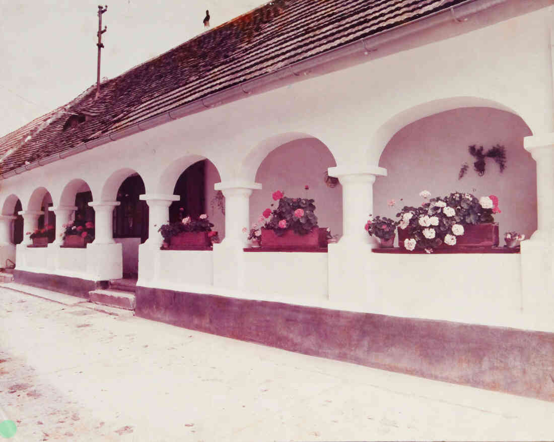 Ausgezeichnetes Arkadenhaus St. Martin: Martin Halper (Oberwarterstraße 30)