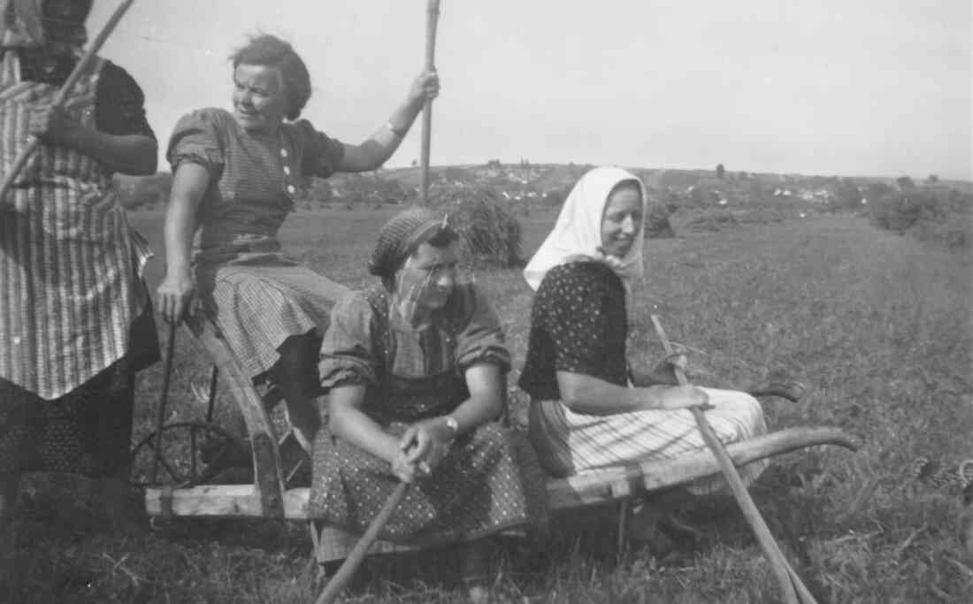 Obertrummer Frauen bei der Heuarbeit