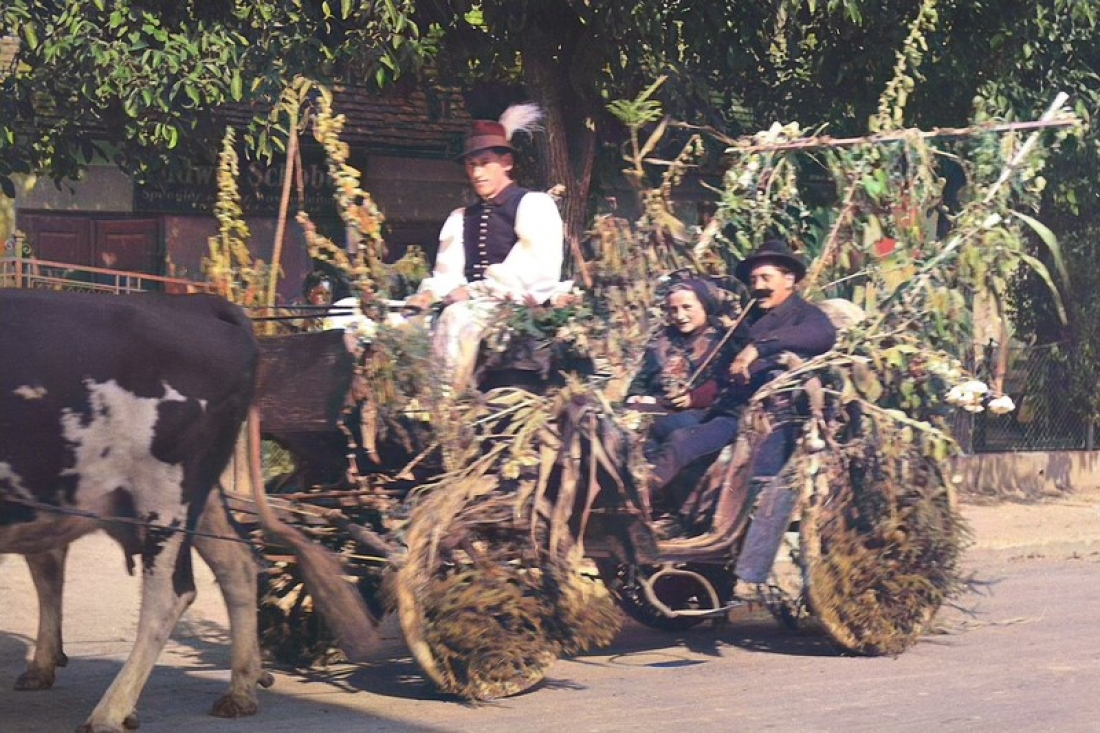 Erntedankfest: "Hosszi Miska"-  Michael Böcskör (Wiesengasse 52) mit seiner Kutsche