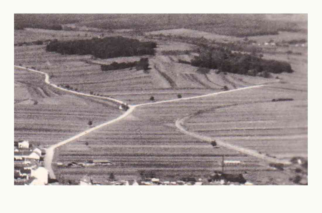 Verlauf der heutigen Wienerstraße mit den Abzweigungen nach Riedlingsdorf und Unterschützen