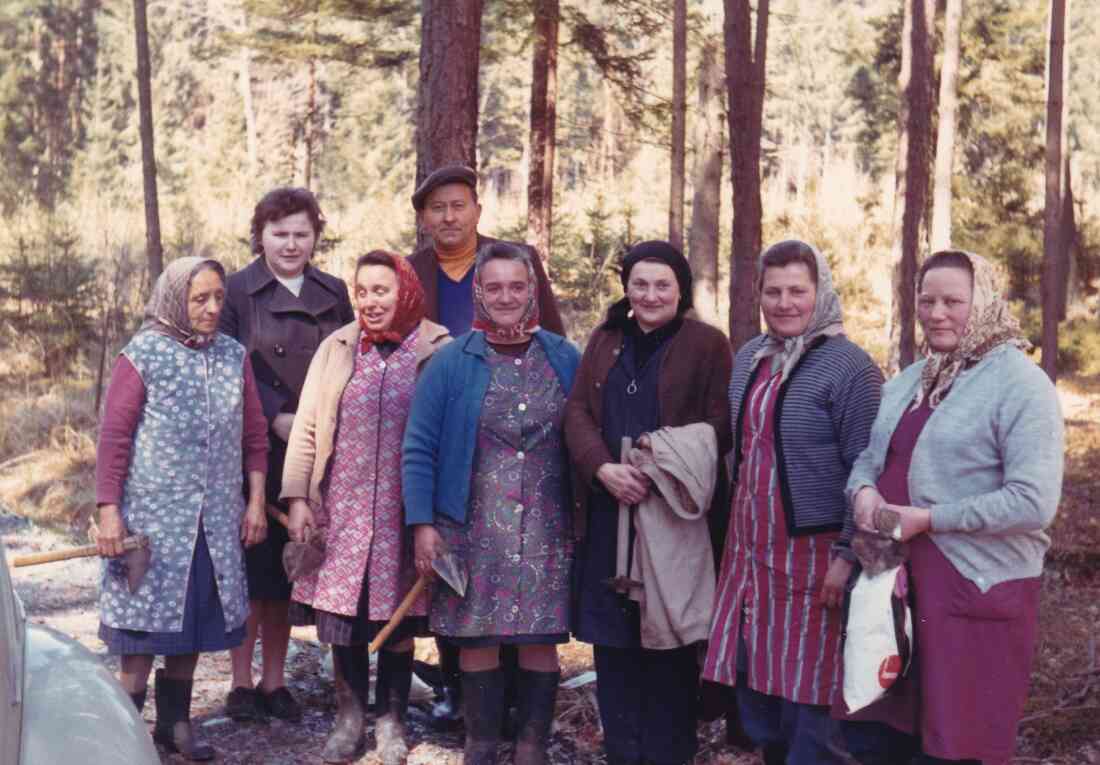 Reformierte Pfarrgemeinde: Aufforstarbeiten im Kirchenwald