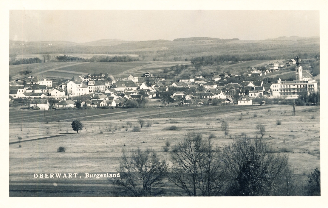 Ansichtskarte: Blick vom südl. Stadtrand auf das Stadtzentrum mit Krankenhaus, kath. Kirche, Schlainingerstraße, Rathaus, Kaserne uam.
