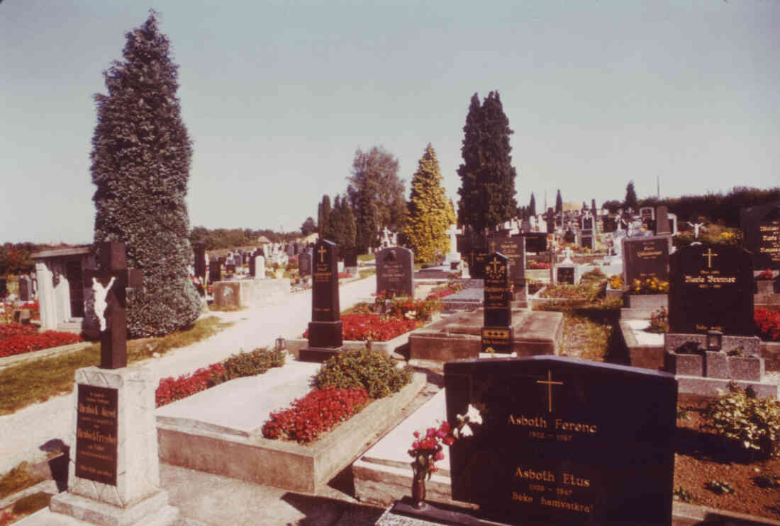 Der röm. kath. Friedhof am Osthang der Stadt um 1980