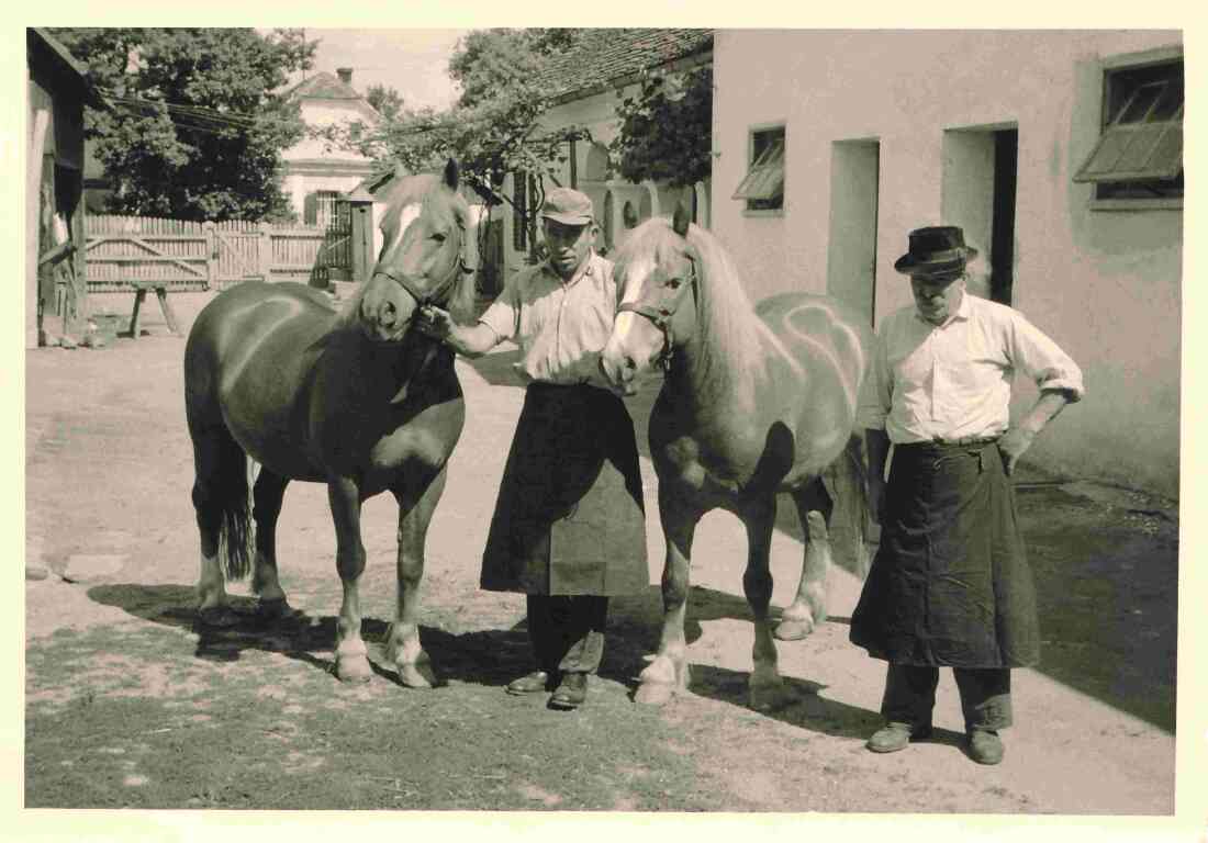 Janos Gangoly jun. (*1929/+1989) und sen. (*1898/+1981) mit Pferden im Hof das Bauernhauses mit Arkaden Grazerstraße 77 / OW 440