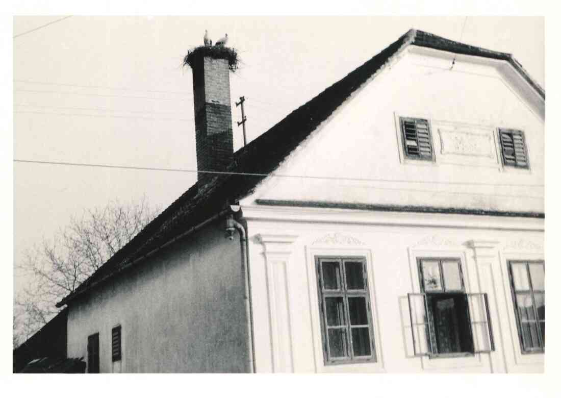 Haus Miklos - Grazerstraße 45 mit Storchennest