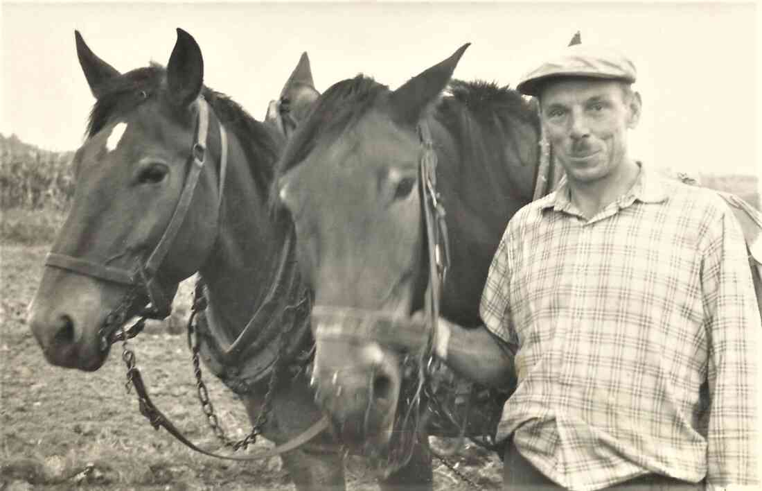 Johann Topler (Janosch - *1915 / +1998) mit seinen Pferden - Grazerstraße 62