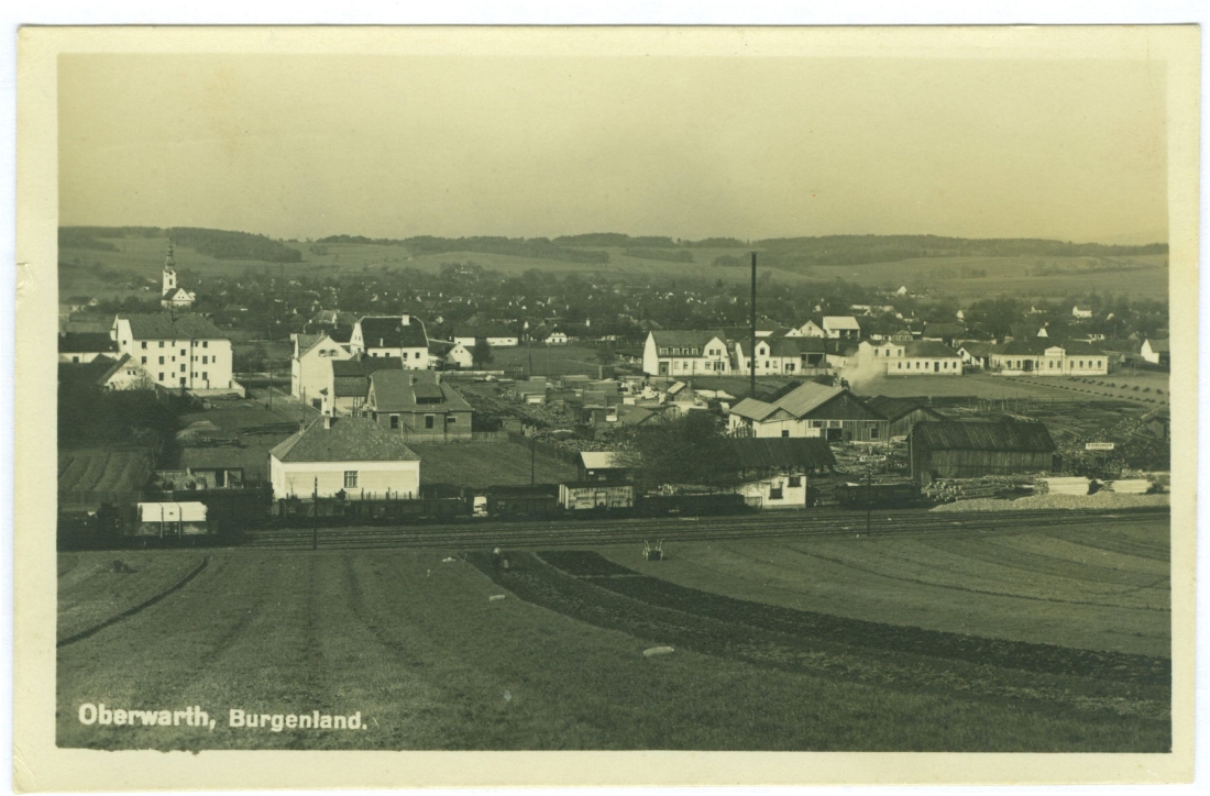Blick über das Dampfsägewerk Schlenger auf das Obertrum