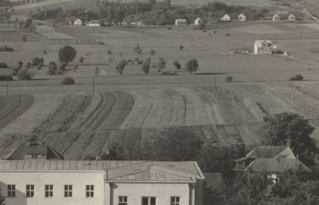 2. Romasiedlung bei der "Zigeunerbaracke" 1945 - 1972 mit dem Haus Tölly (heute ca. Schulgasse 19)