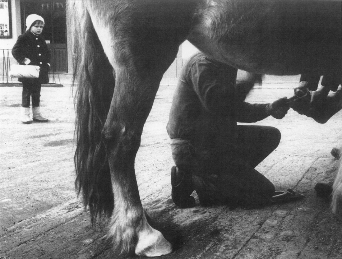 Hufschmied Johann Hermann (*1878/+1958) - Betrieb an der Adresse Steinamangererstraße 28 - bei der Arbeit