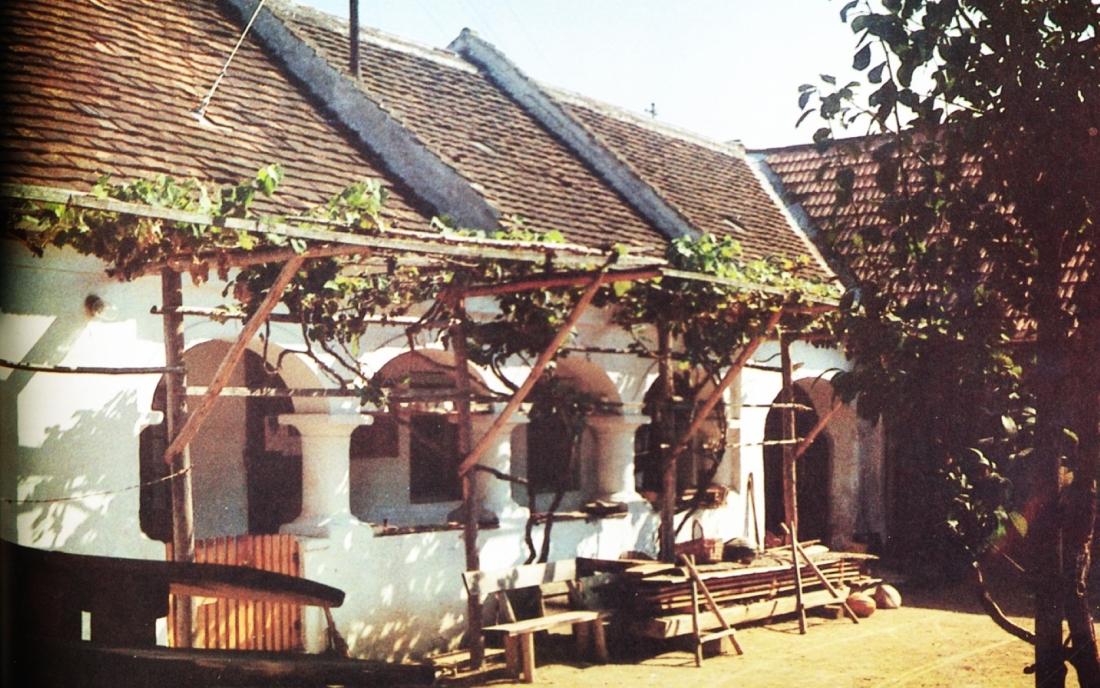 Bauernhaus mit Arkaden: OW 202 / Johann Straußgasse 17 (Karl Weiner)