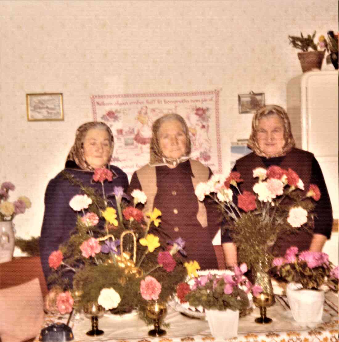 Geburtstagsfest zum 70-er Elisabeth Tölly (geb. Baliko, *1906 / +1993): Kren / Tölly / Baliko