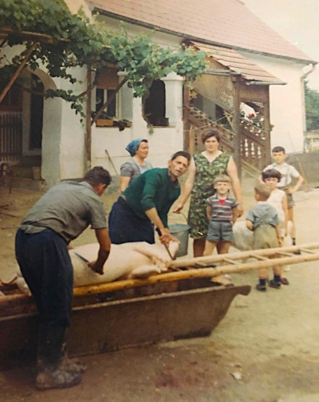 Sauabstechen im Arkadenhaus Wiesengasse 40 - Pal/Thek/Benedek/Mohat