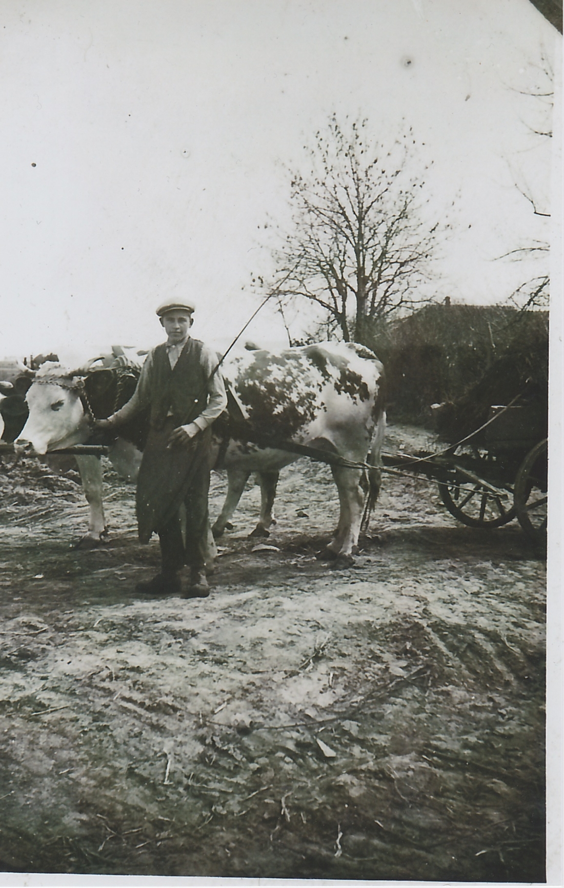 Emmerich Molnar bei der Arbeit