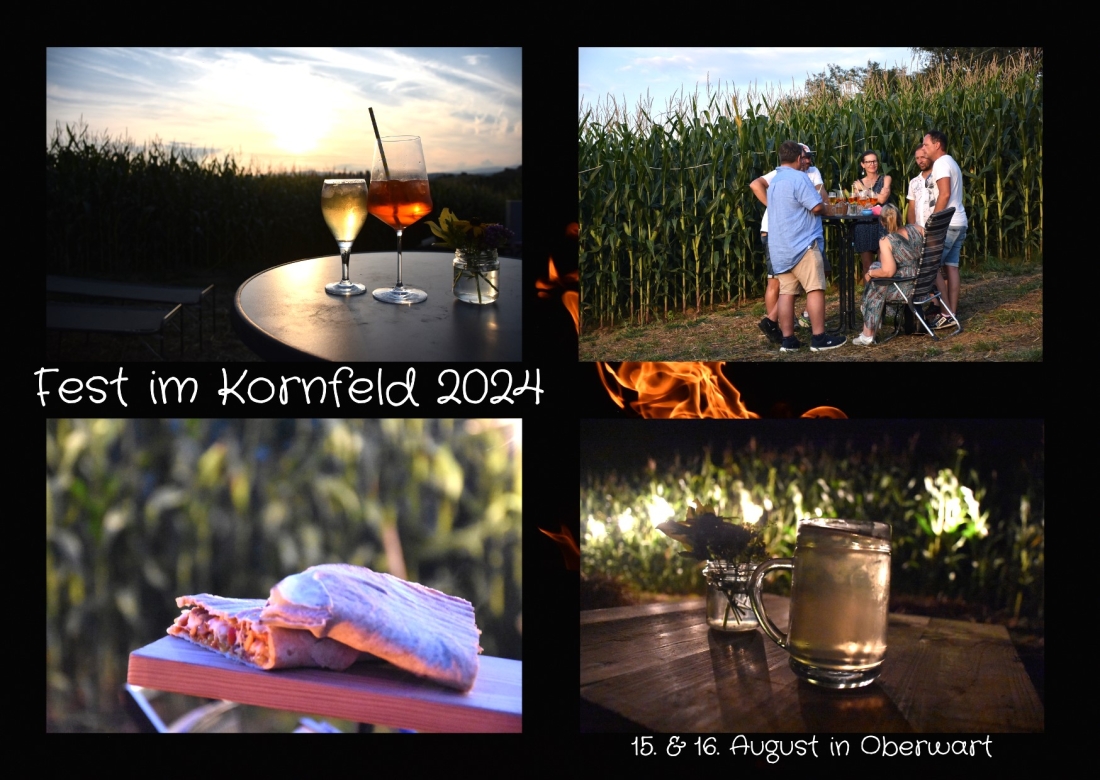 Fest im Kornfeld