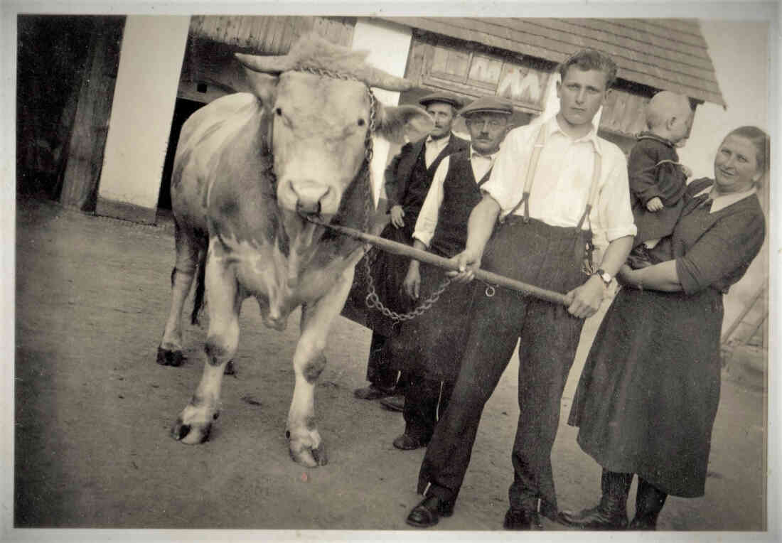 Familie Mohat präsentiert stolz ihren Stier (Dornburggasse 31)