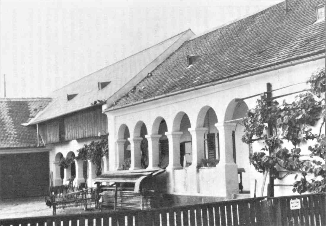 Arkadenhaus: Alexander Baliko (Johann Straußgasse 46)