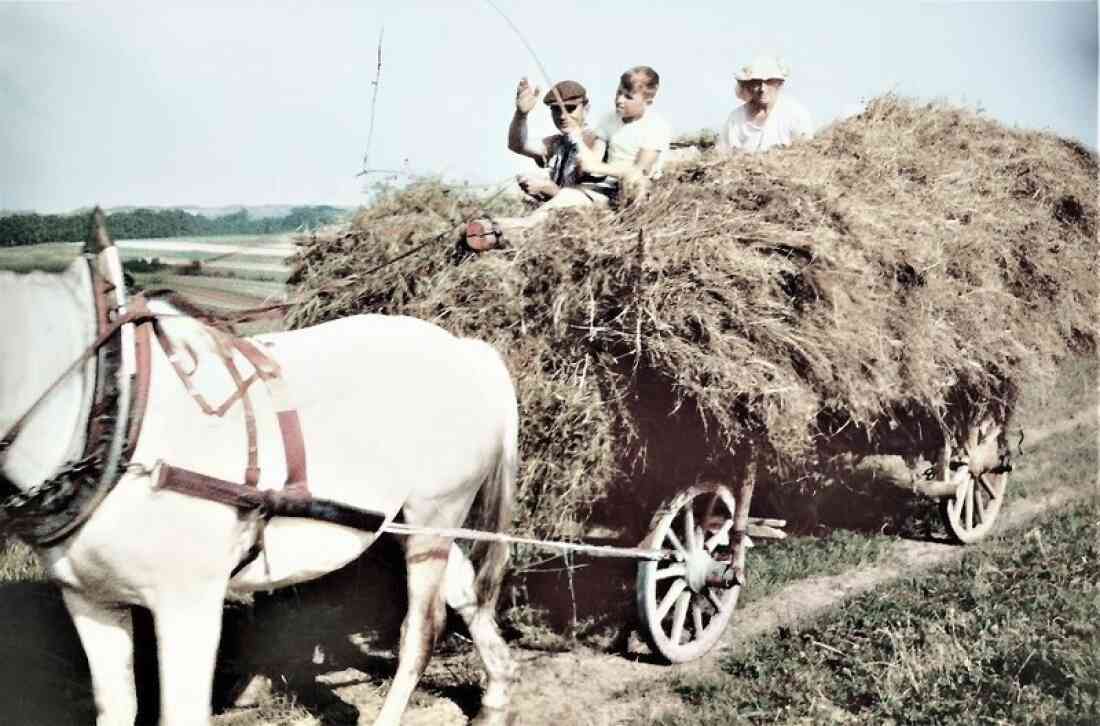 Landwirt Michael Böcskör (Johann Straußgasse 20) mit seinem Pferdegespann beim Heuführen