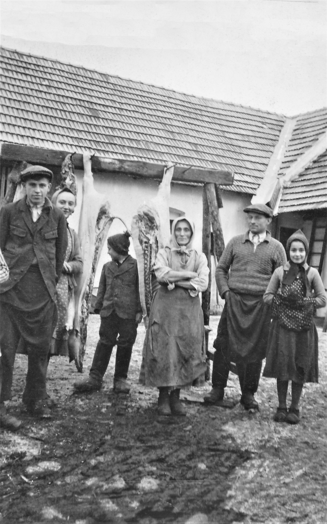 Sauabstechen bei Familie Molnar