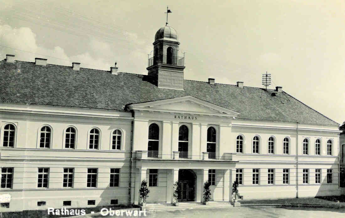 Stadtgemeinde: Rathaus - Das wiederaufgebaute und neueröffnete Rathaus
